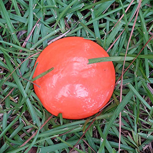 LOW PROFILE SURVEY STAKE close-up texture highlights durable finish for longevity