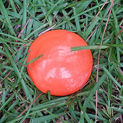 LOW PROFILE SURVEY STAKE close-up texture highlights durable finish for longevity