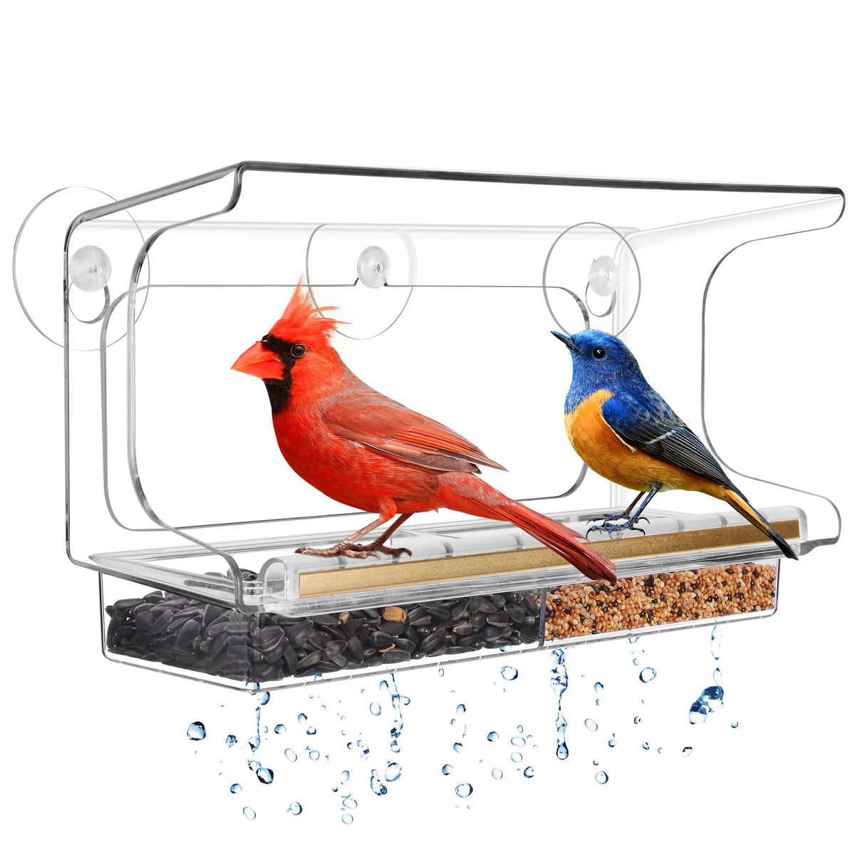 LUJII front view feeder clear polycarbonate for unobstructed bird watching