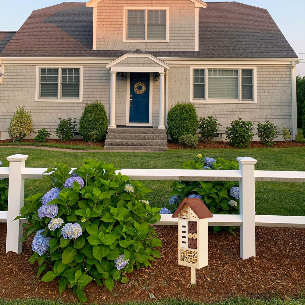 Lulu Home with children observing encouraging educational nature engagement
