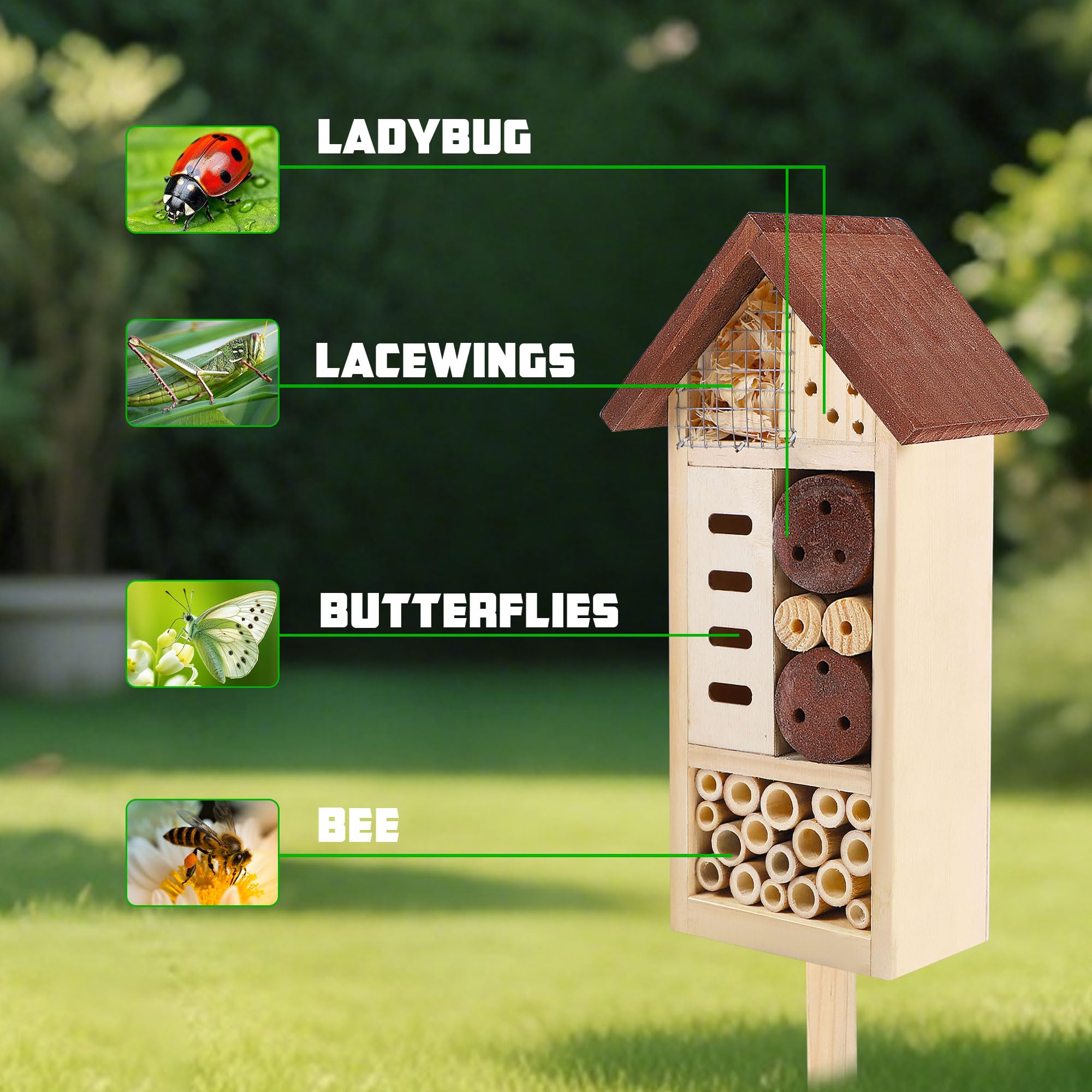 Lulu Home roof detail photo showing weather-resistant protection for interiors