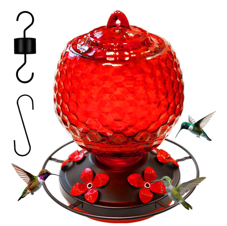 LXliangxin front view of glass hummingbird feeder showing colorful bottle and ports, attracts birds