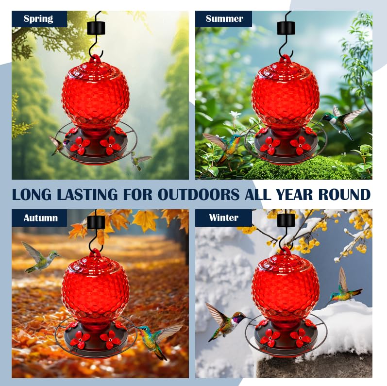 LXliangxin transparent bottle showing nectar level for convenient monitoring and timely refills