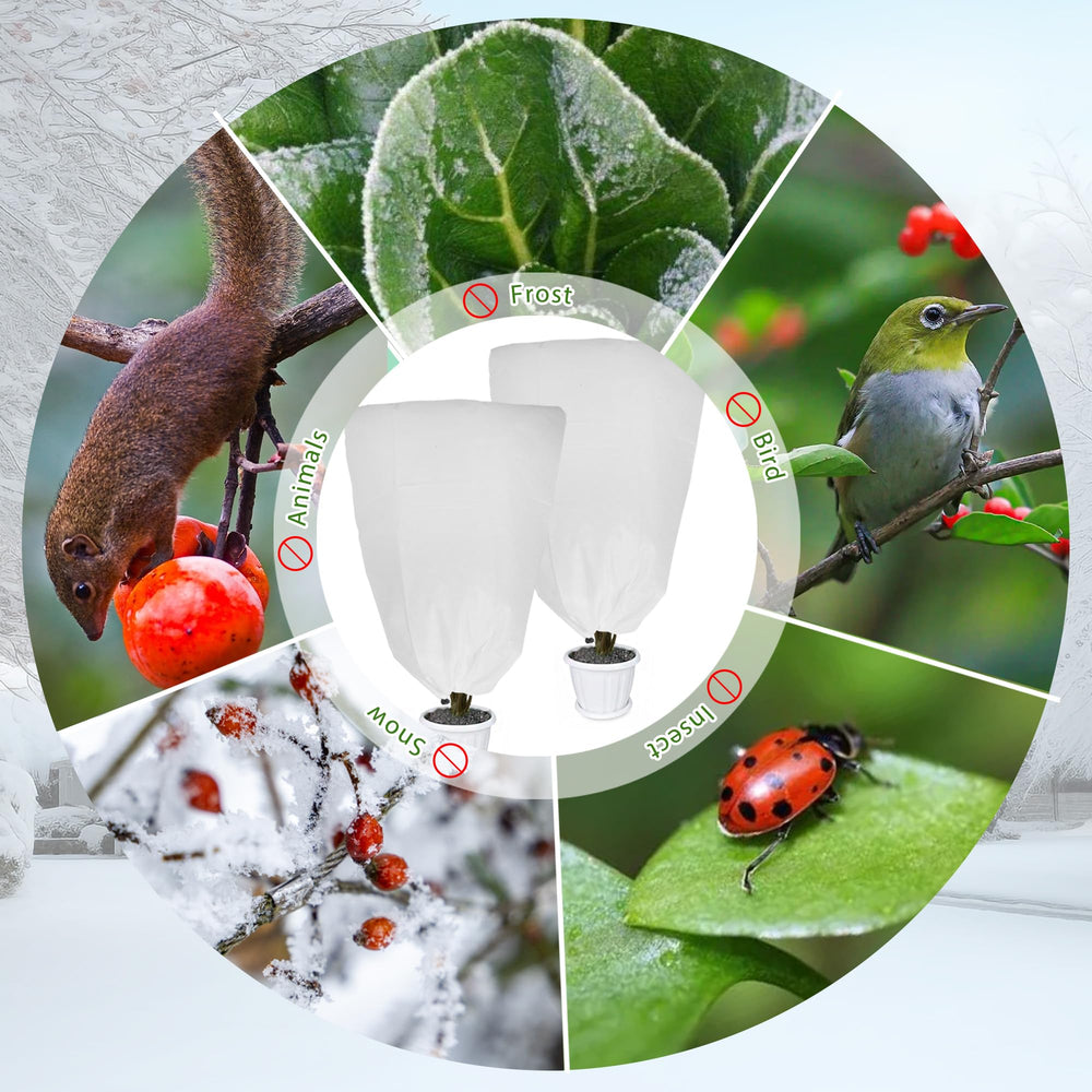 LYDTICK covering a rose bush illustrating pest protection and overnight freeze guarding