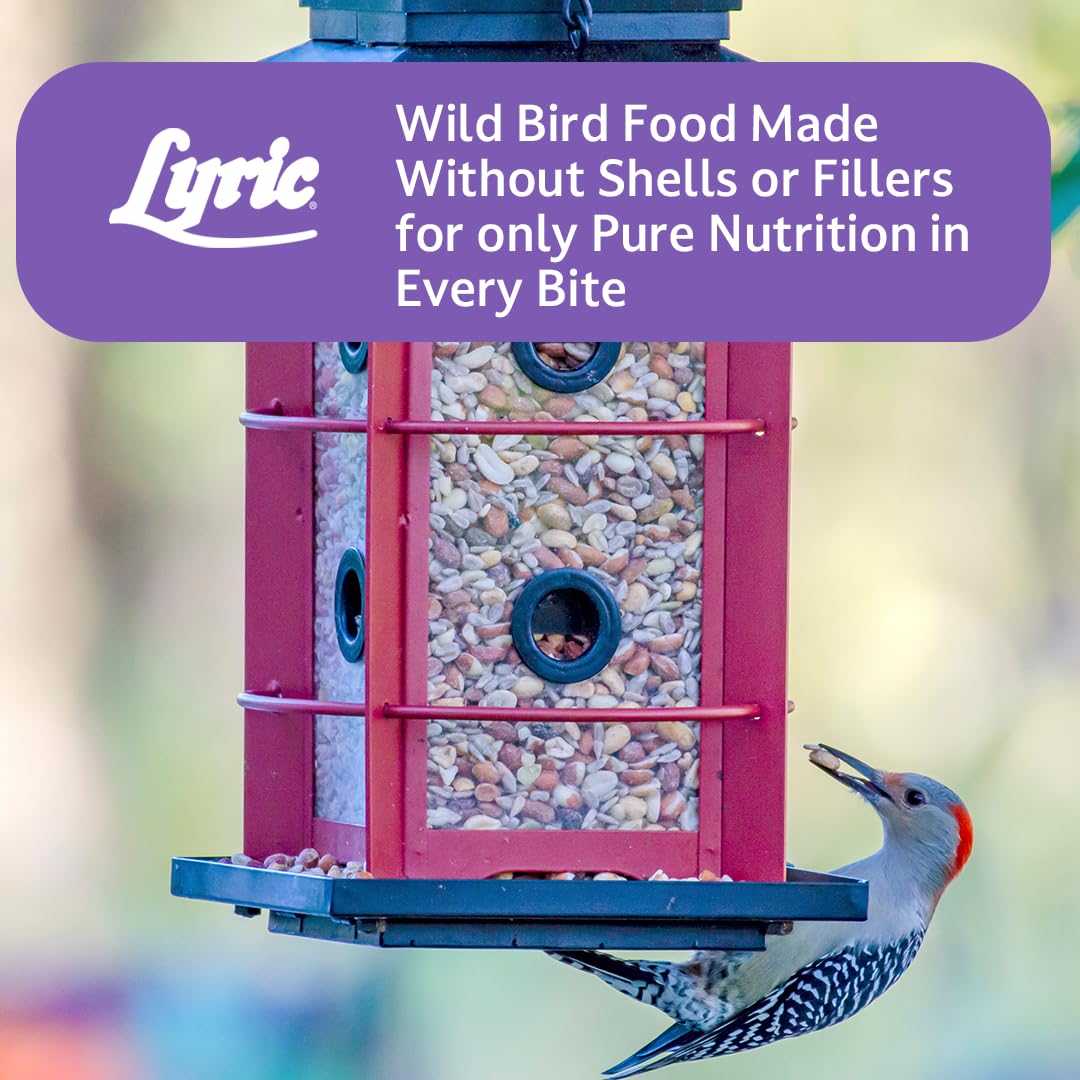 Backyard scene with Lyric Delite feeders enjoying birds on a deck
