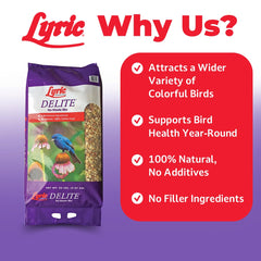 Close-up of Lyric Delite kernel texture highlighting high-protein mix