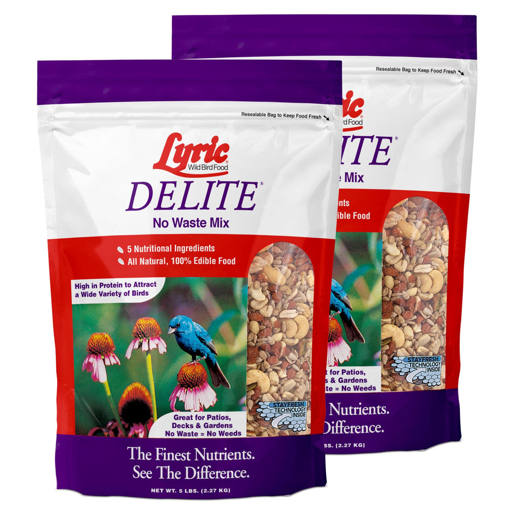 Lyric Delite front packaging showing product benefits and weight