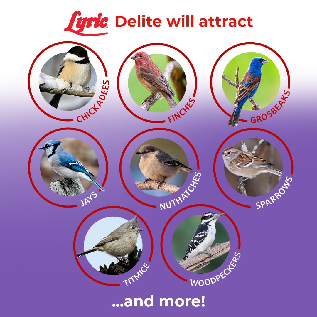 Covered tray feeder with Lyric Delite reducing ground waste around feeder