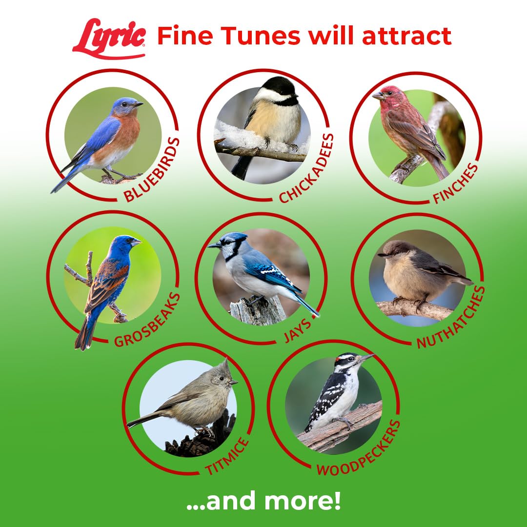 Lyric mix spread on a platform feeder showing no-waste particles that reduce yard mess