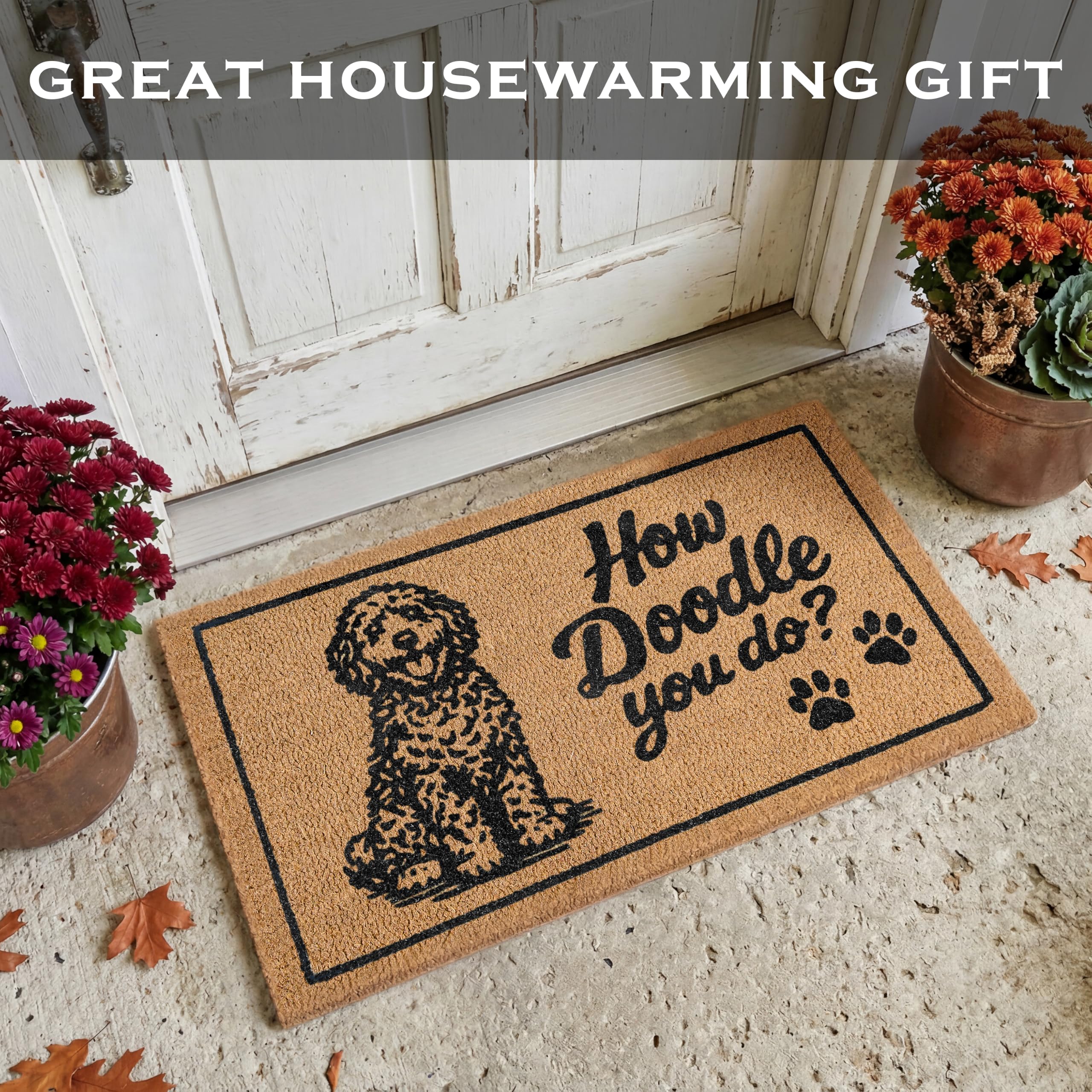 MAINEVENT lifestyle entryway with mat adding charm and protecting floors