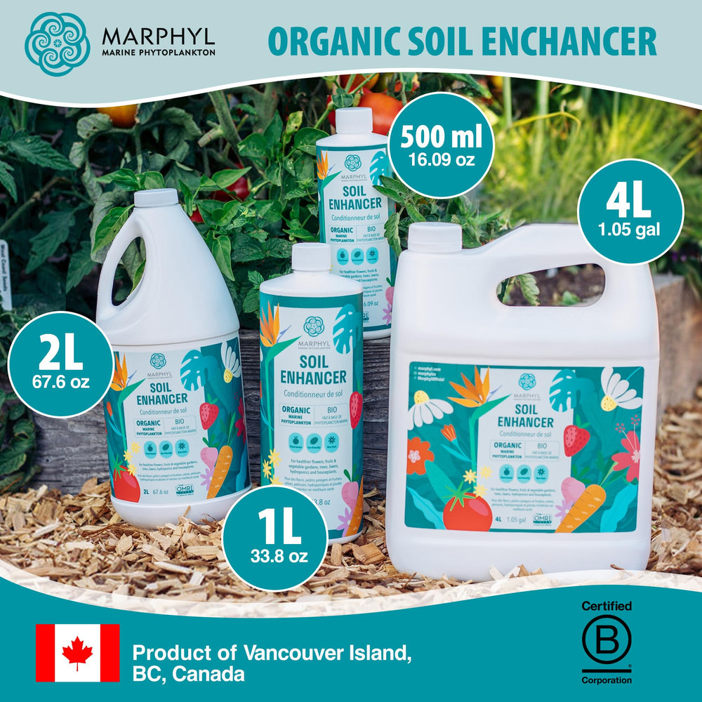 MARPHYL back label with directions and safe-use information