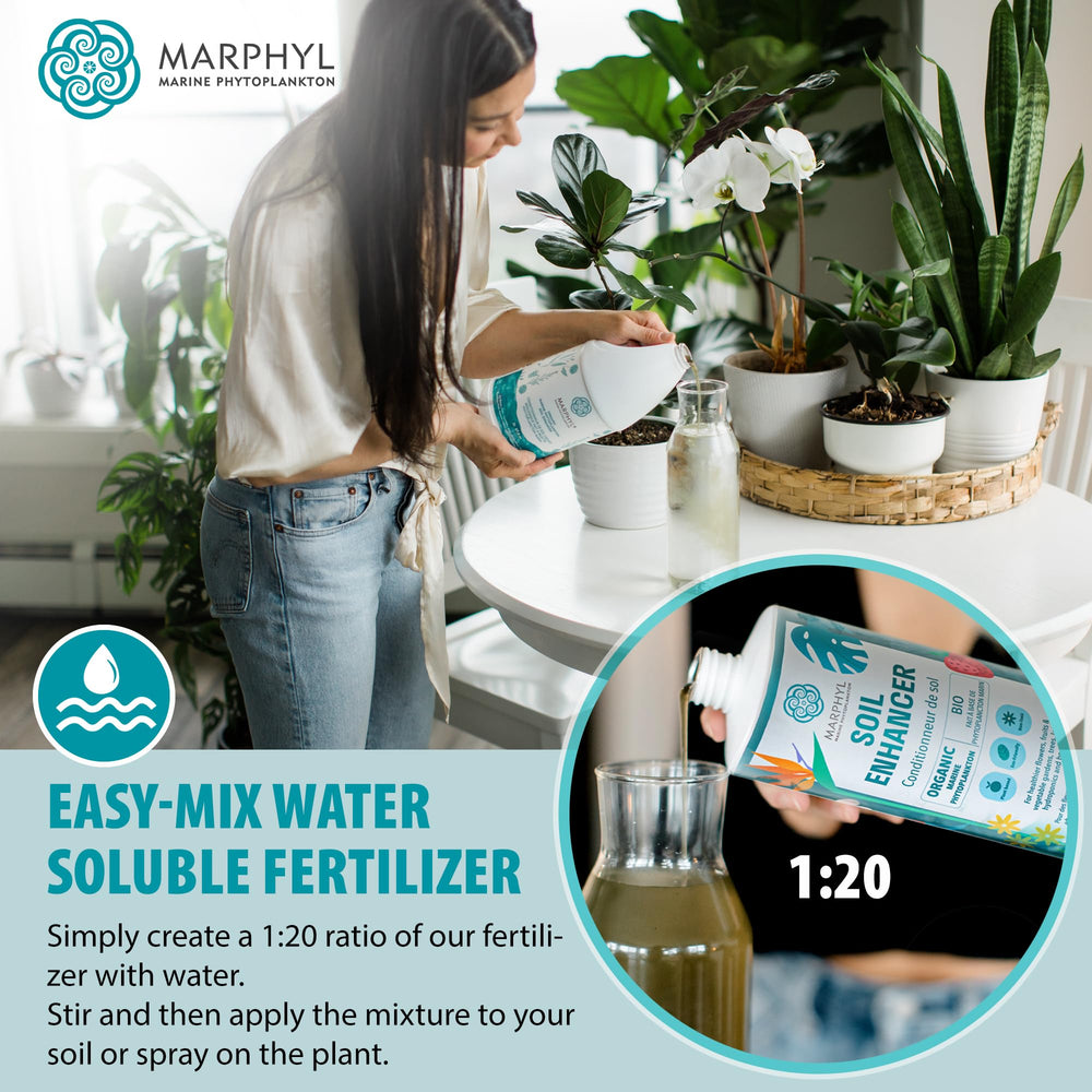 MARPHYL applied in a garden bed encouraging robust vegetable growth