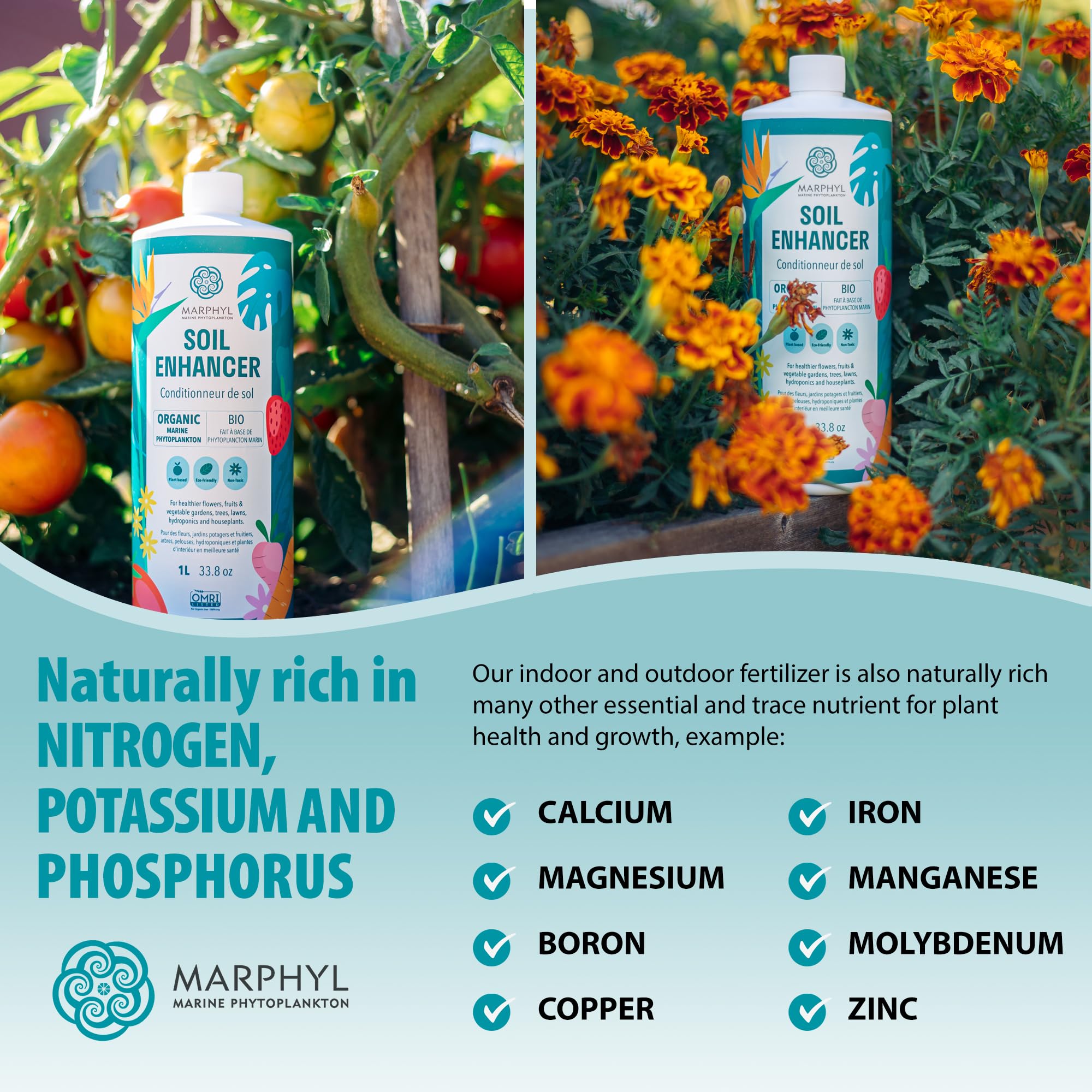 MARPHYL used on a potted houseplant demonstrating greener leaves