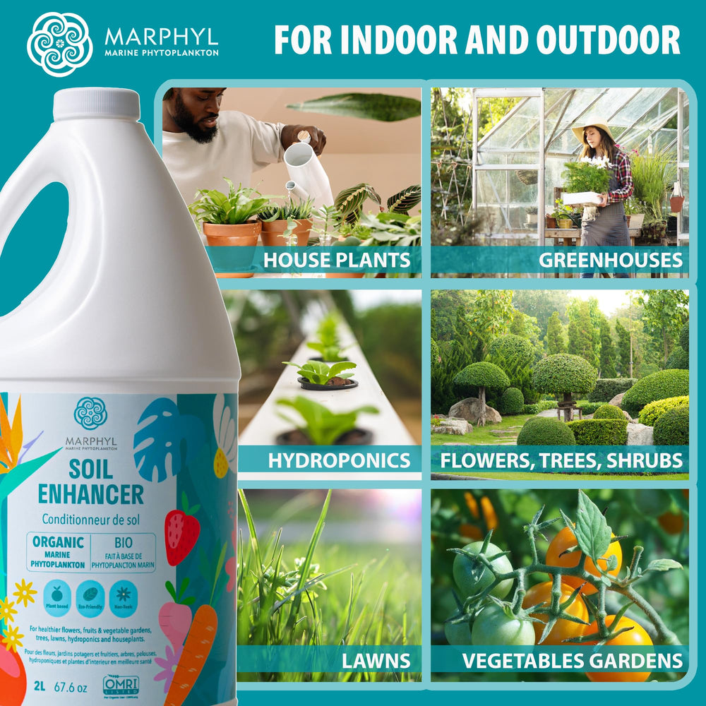 MARPHYL liquid texture closeup showing clear solution for fast uptake