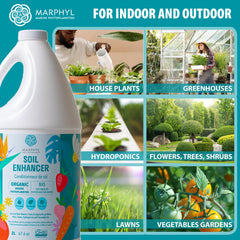 MARPHYL liquid texture closeup showing clear solution for fast uptake