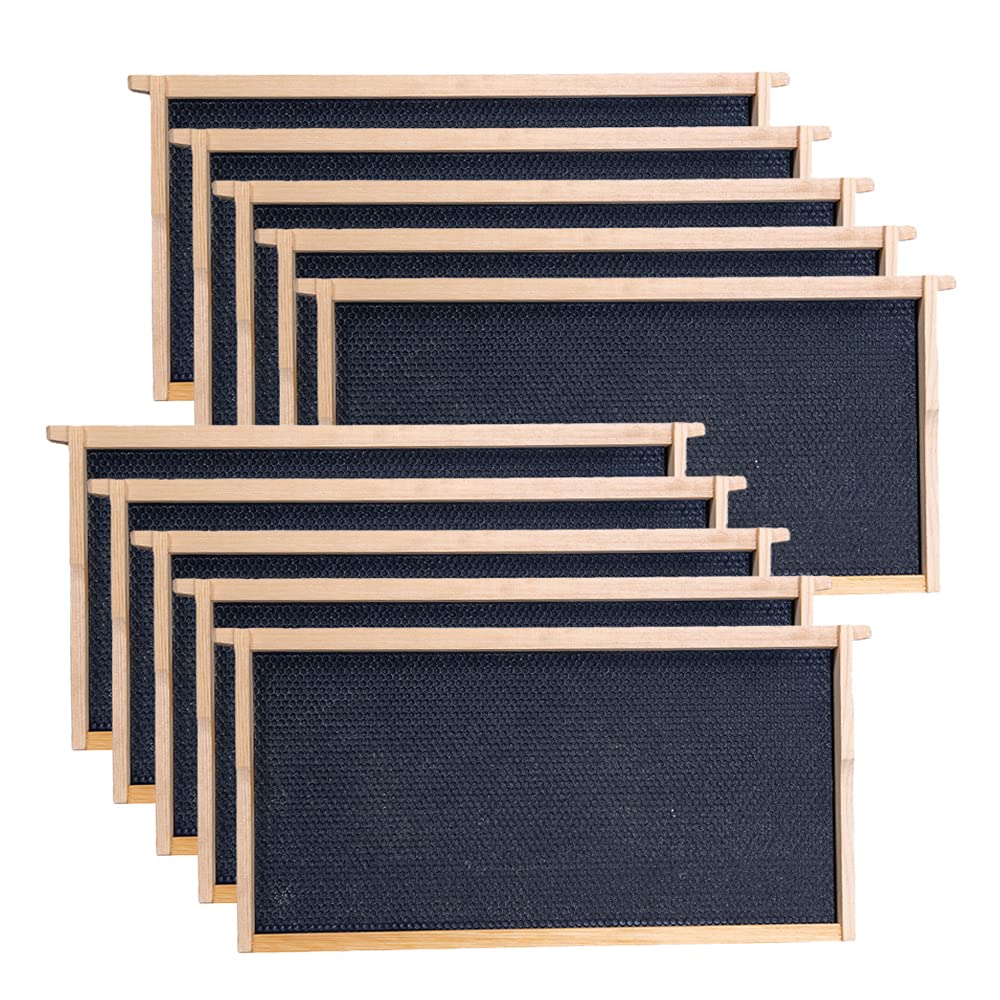 MayBee front view of deep brood frame showing sturdy pinewood and clean finish for durability