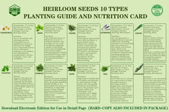 Meekear assortment of ten herb seed packets laid out for planting variety