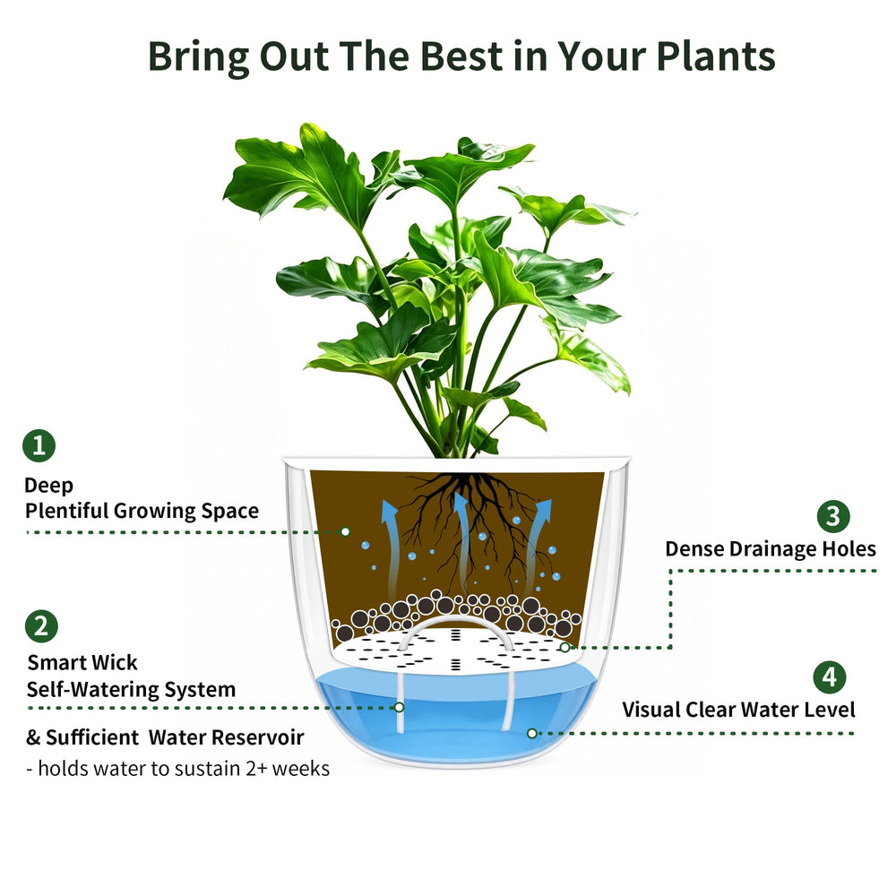 Melphoe planter in kitchen window display highlighting space-saving watering