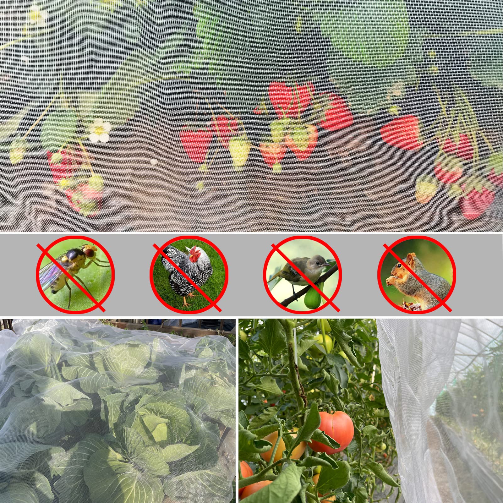 Meuallikit close-up ultra-fine mesh texture protecting plants