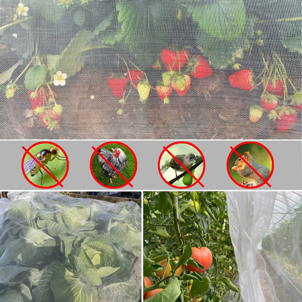 Meuallikit close-up ultra-fine mesh texture protecting plants