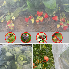Meuallikit close-up ultra-fine mesh texture protecting plants