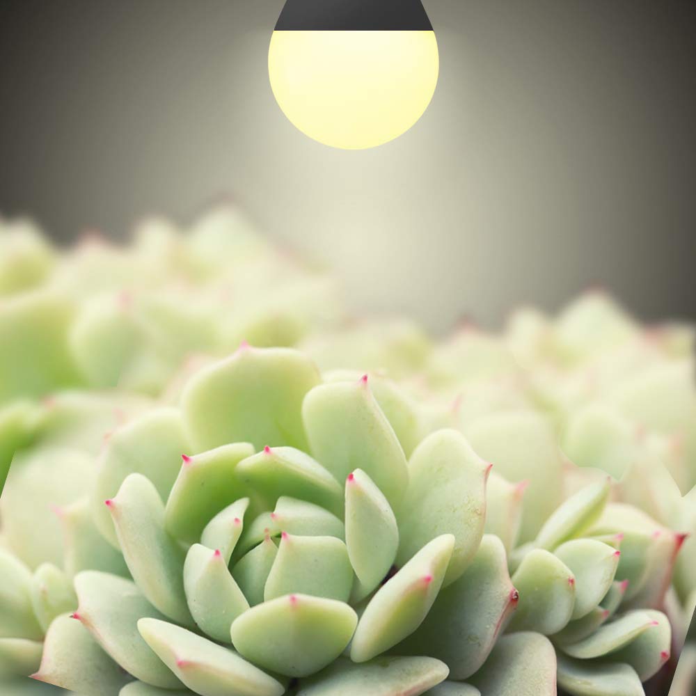 mfxmf close-up of LED chips highlighting high-lumen output and efficiency