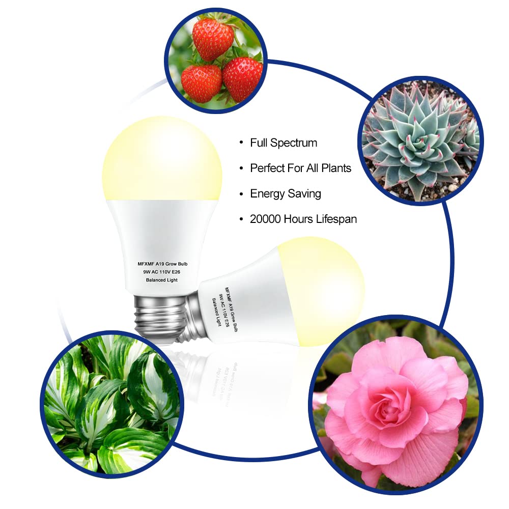 mfxmf bulb screwed into standard E26 lamp demonstrating easy installation