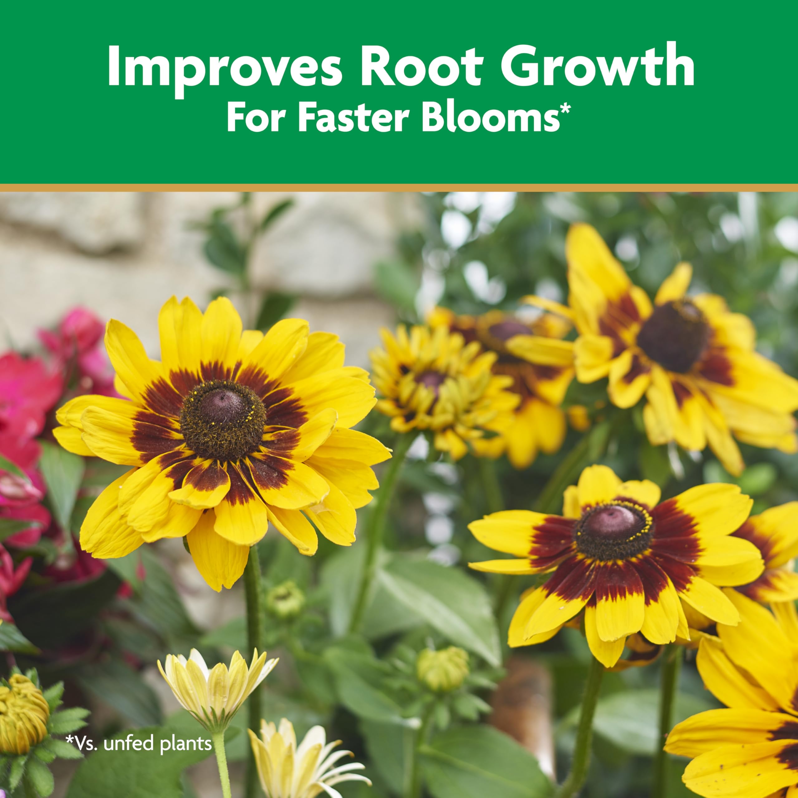 Miracle-Gro label close-up highlighting 4-12-4 NPK formula for root support