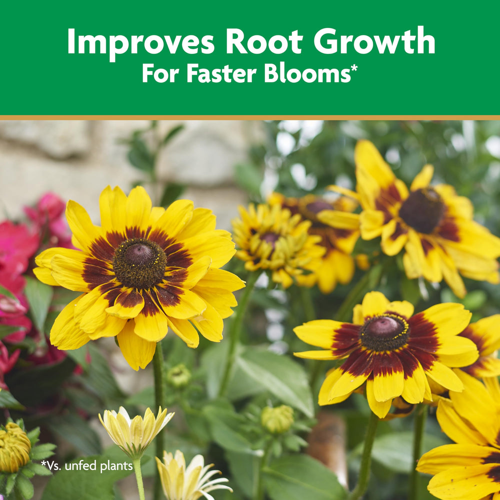Miracle-Gro label close-up highlighting 4-12-4 NPK formula for root support