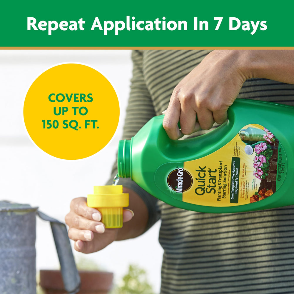 Miracle-Gro used in a container garden illustrating versatile application and convenience