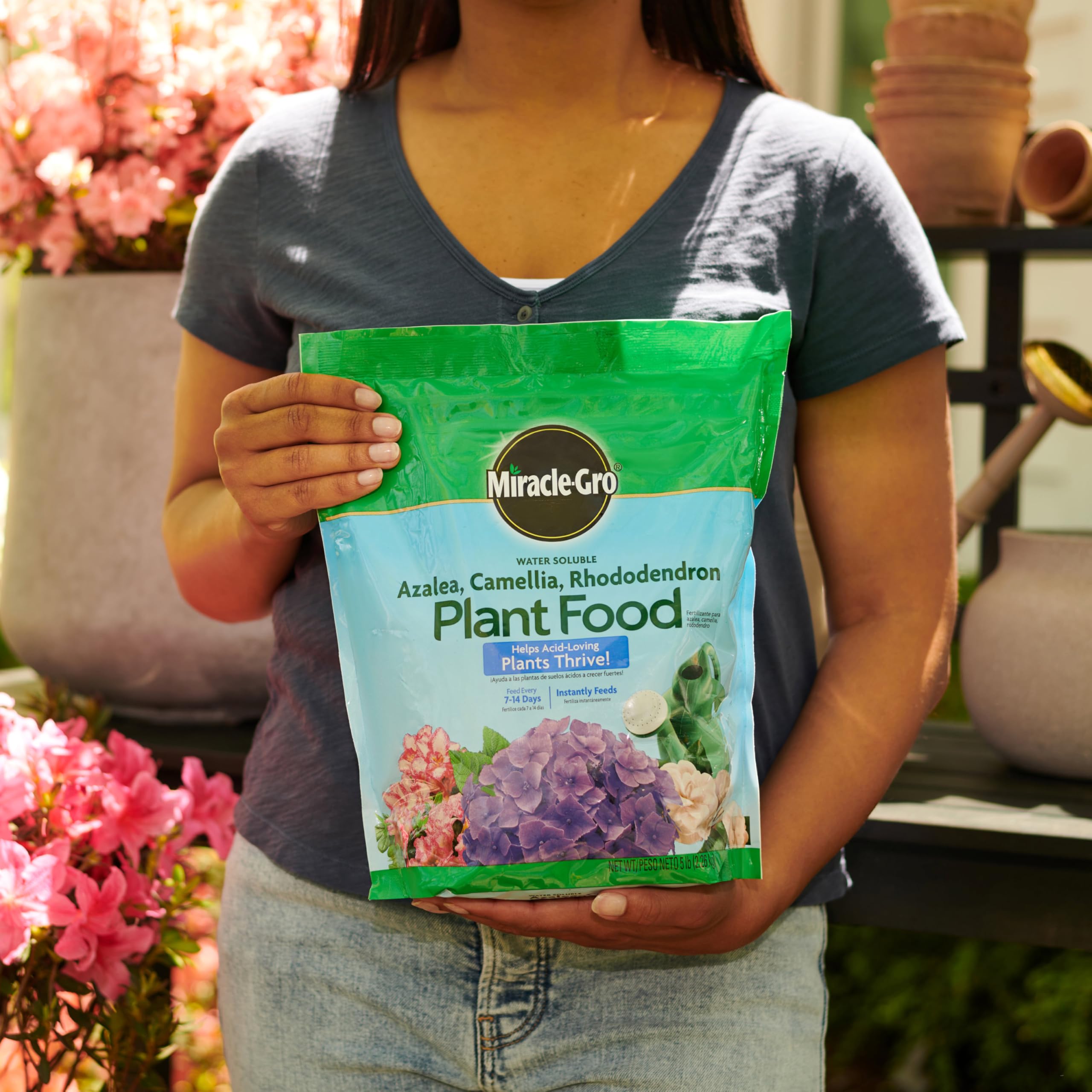 Miracle-Gro dissolving in watering can for fast nutrient delivery