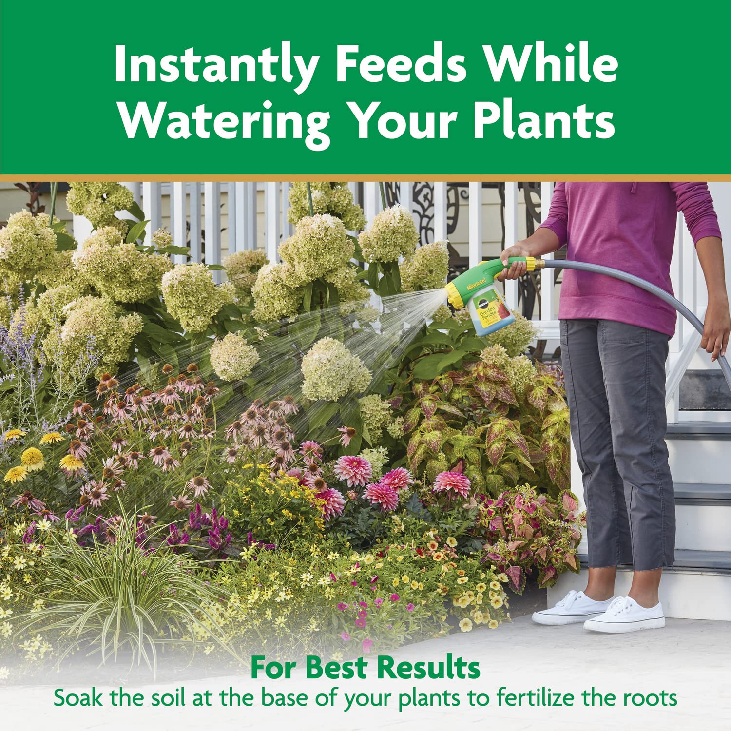 Miracle-Gro applied to flowering bed showing fuller blooms