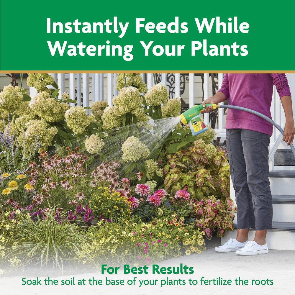 Miracle-Gro applied to flowering bed showing fuller blooms