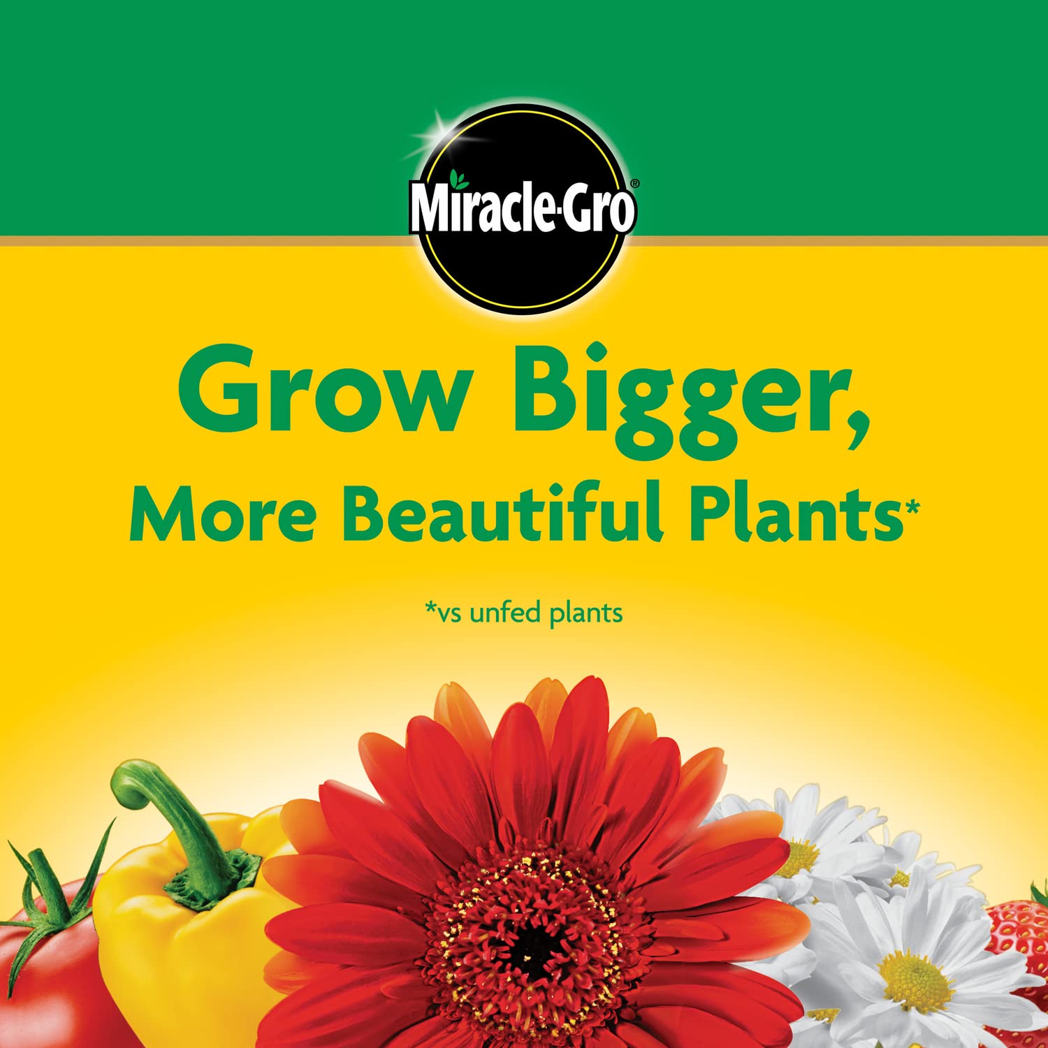 Miracle-Gro used with a garden feeder to demonstrate large-area application