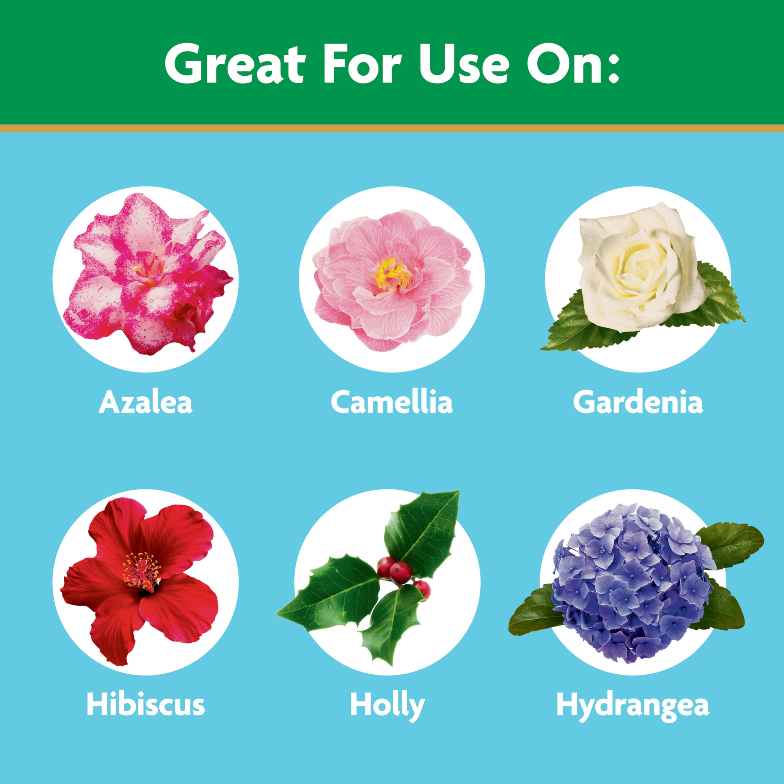 Miracle-Gro Garden Feeder jar filled showing convenient application