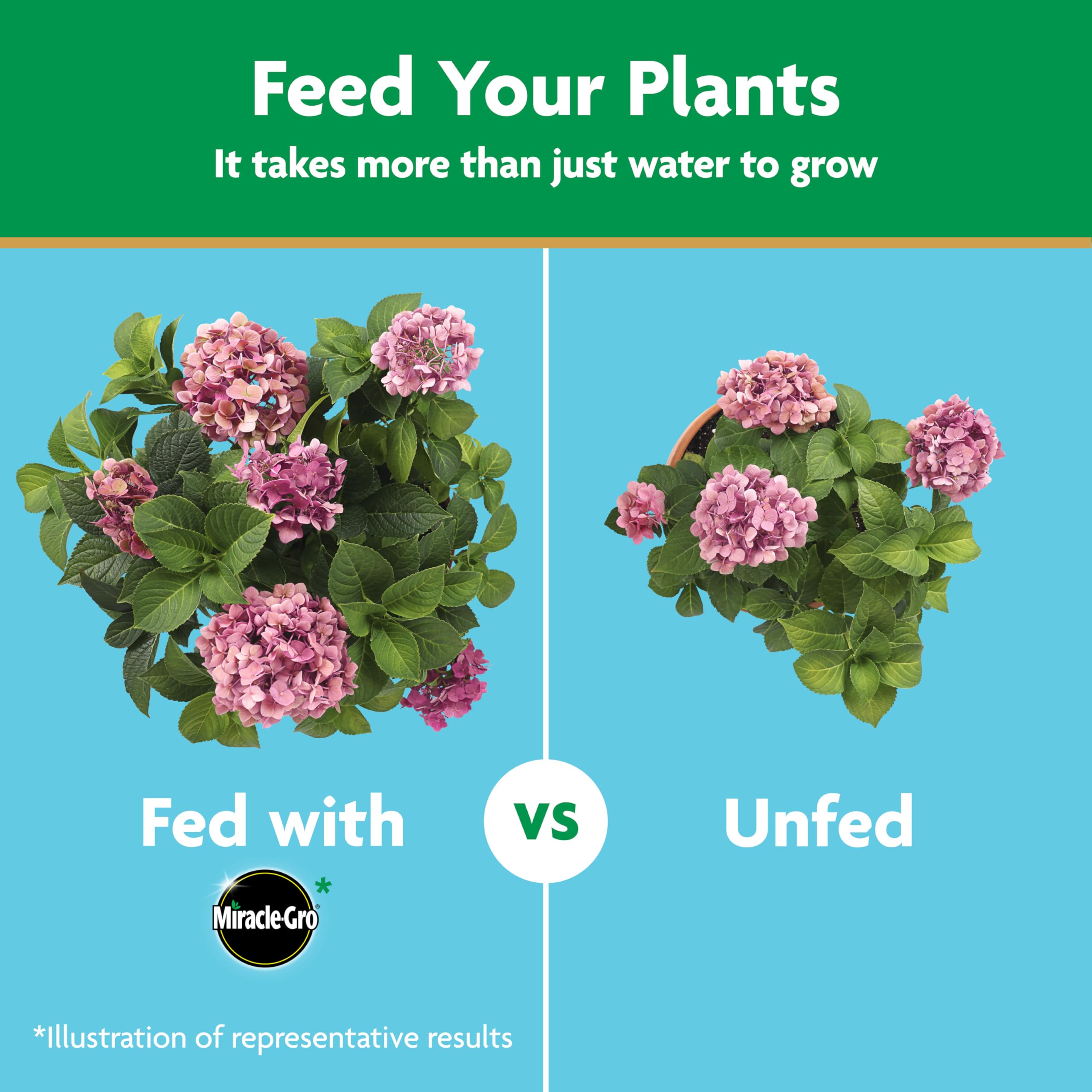 Miracle-Gro label showing directions and nutrient information