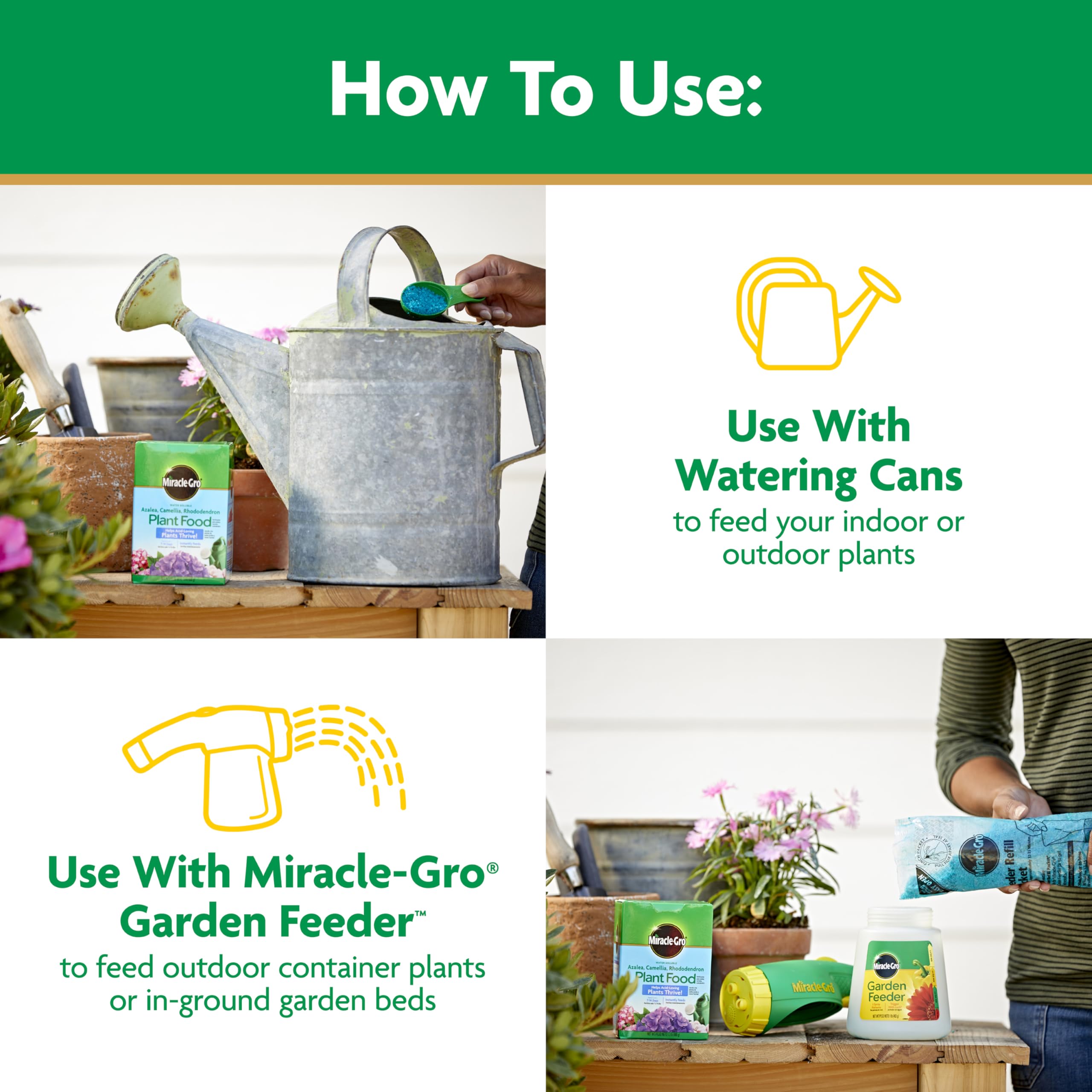 Miracle-Gro feeding potted hydrangea for fuller blooms