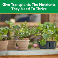Miracle-Gro being poured around plant roots to settle soil and nourish new roots