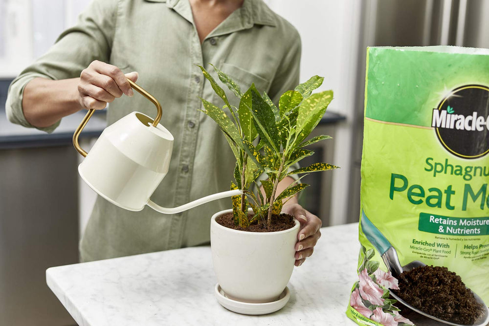 Miracle-Gro peat moss bag next to a watering can showing compact size and volume