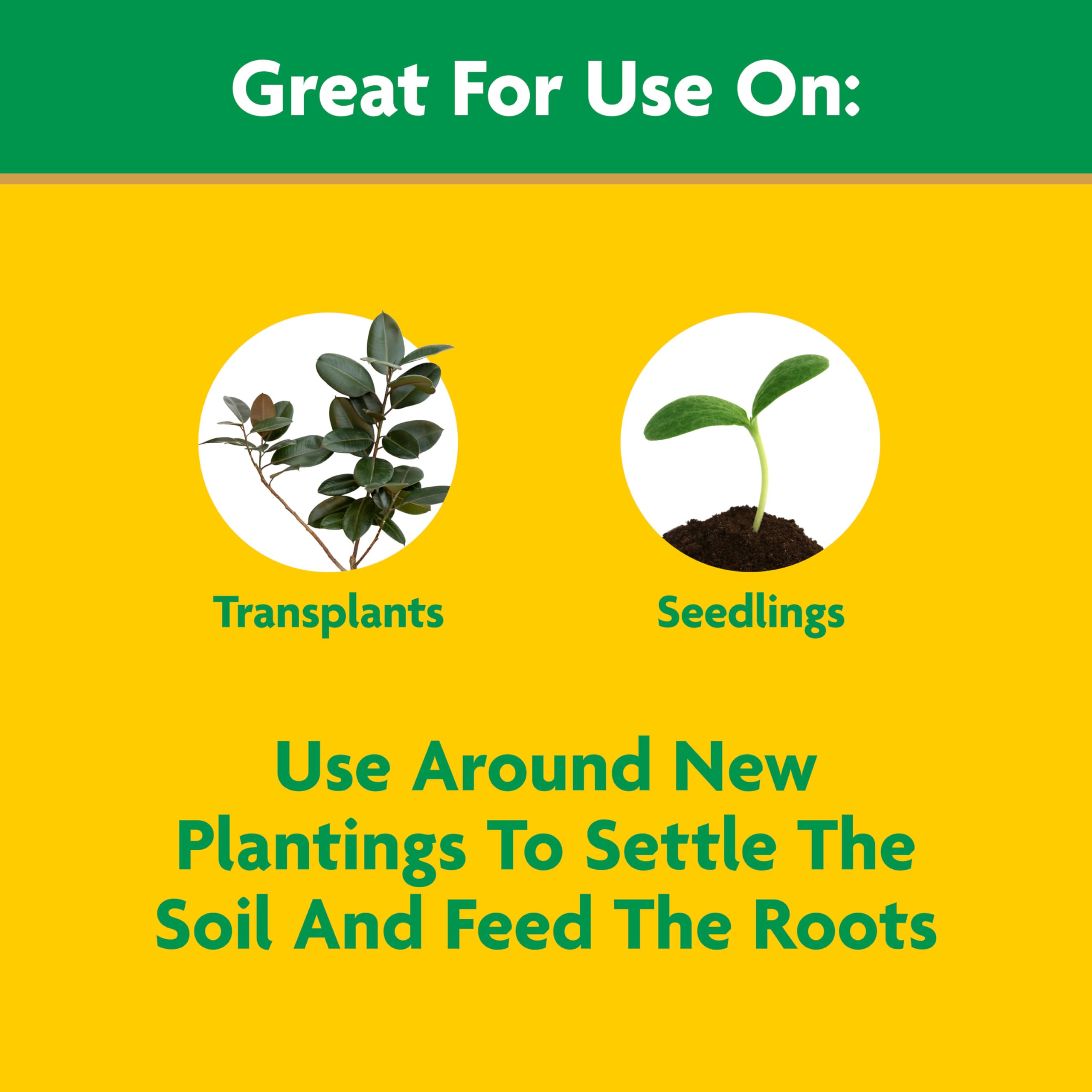 Miracle-Gro applied to seedling flats to promote early root development and vigor