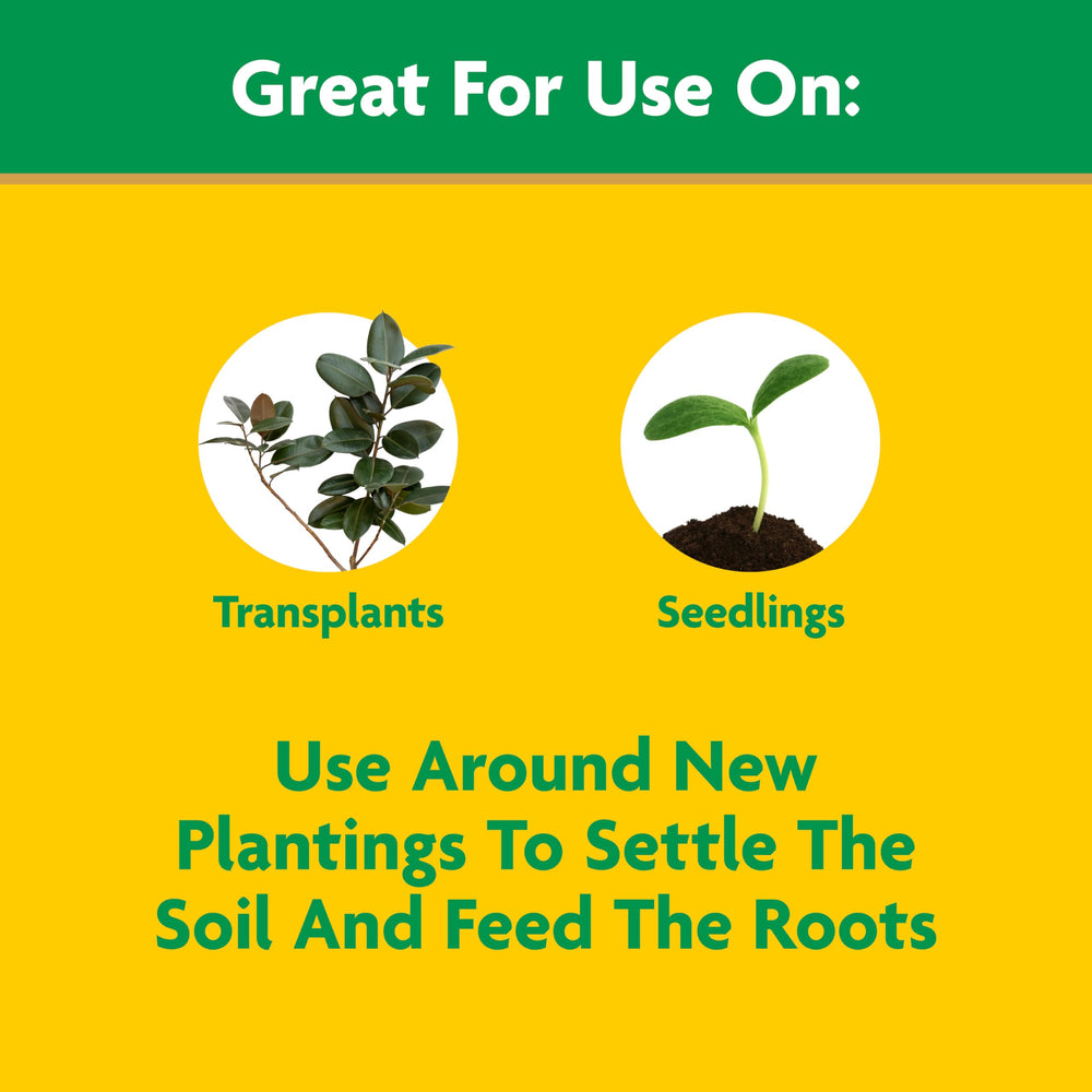 Miracle-Gro applied to seedling flats to promote early root development and vigor