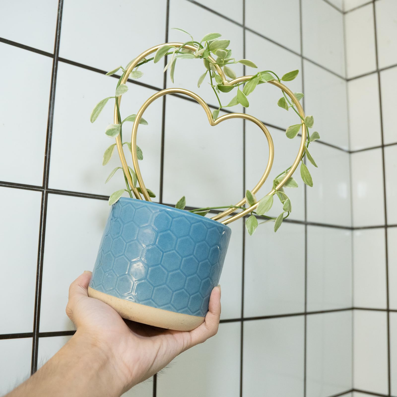 Mirthdino trellises on windowsill lifestyle display adding decor and support