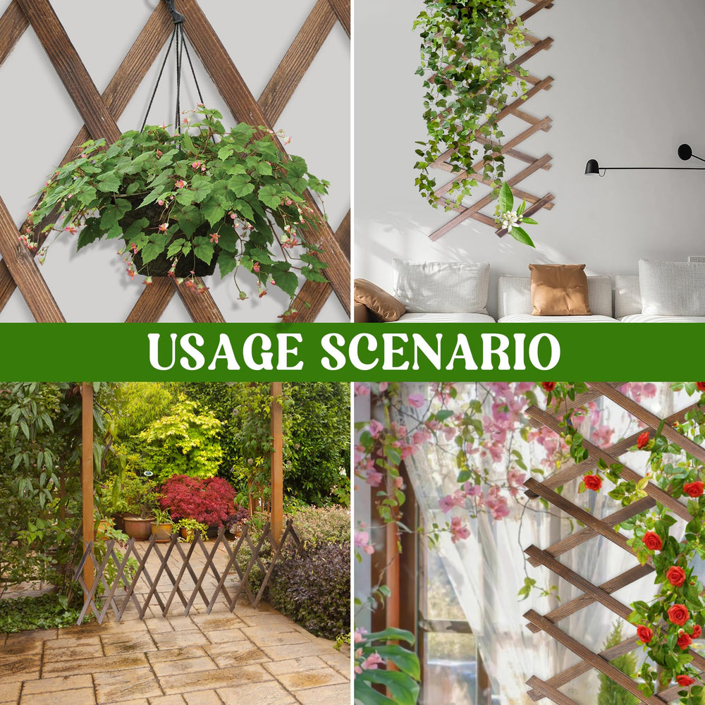Miuwauer lattice with hanging plant pots creating a layered garden display