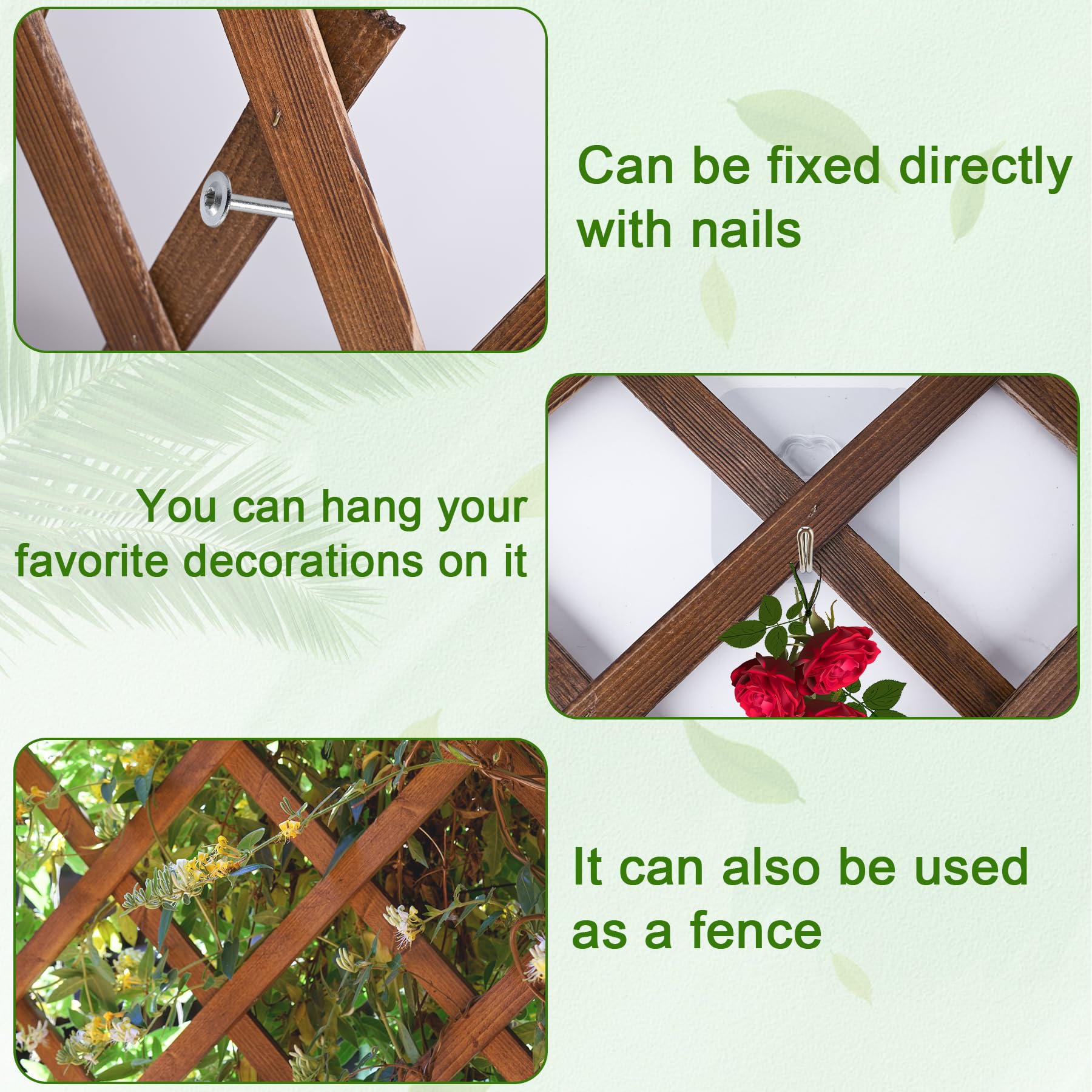 Miuwauer trellis supporting climbing rose vines for tidy plant training