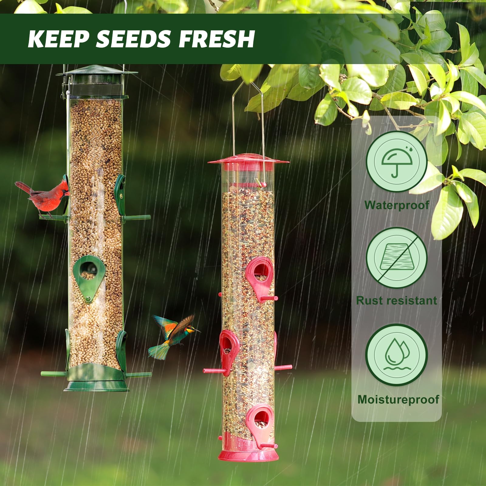 MIXXIDEA feeder hanging in garden attracting wild birds for viewing