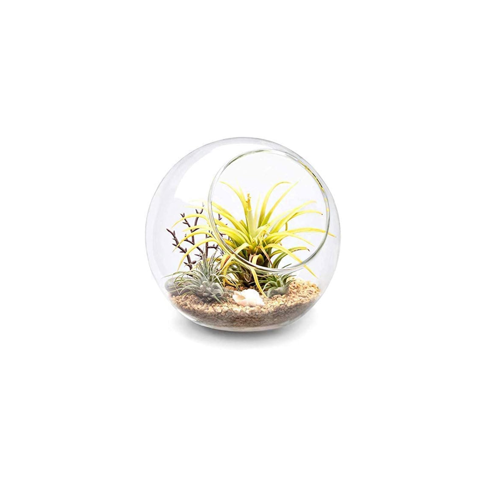Mkono front view glass globe showing clear design and display benefit