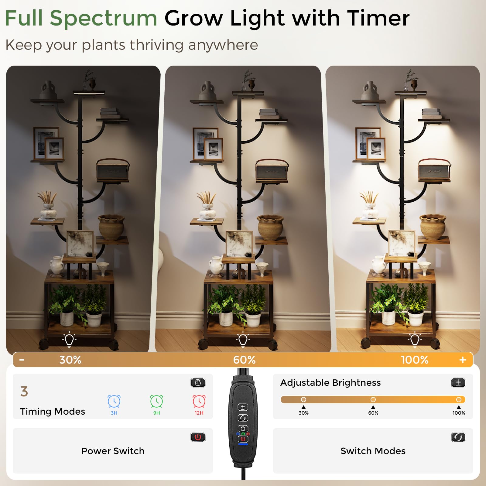 Mogaath assembled in living room illustrating decor-enhancing plant display