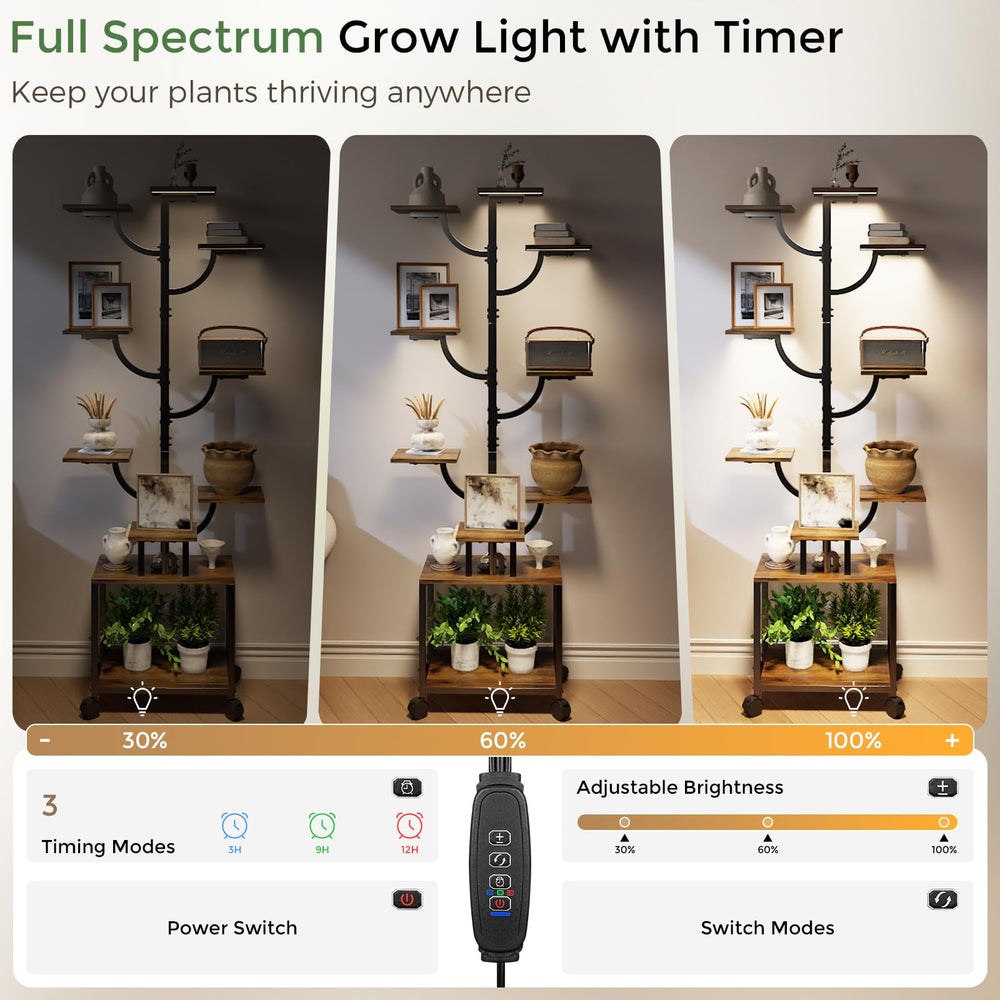 Mogaath assembled in living room illustrating decor-enhancing plant display