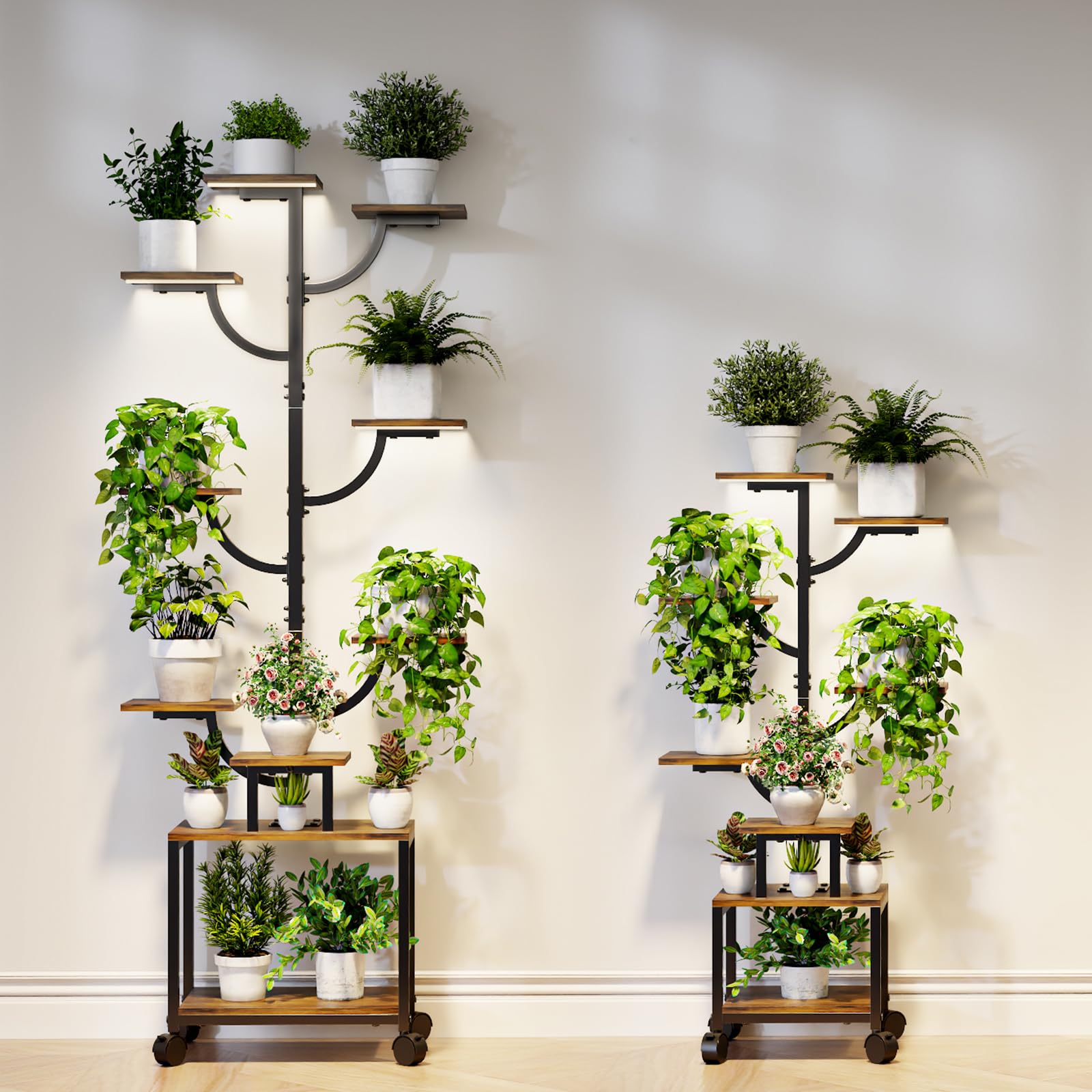Mogaath scale with potted plants showing capacity and tier spacing for varied pot sizes
