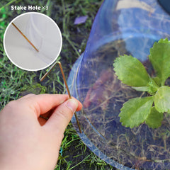 MorTime cloche covering seedlings in a garden bed to protect from pests